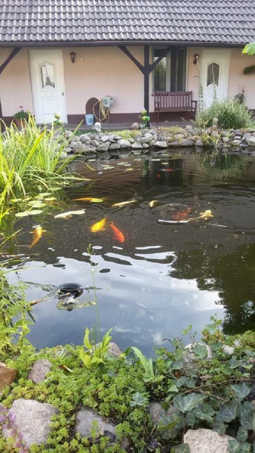 Storchennest An Der Spree In Radinkendorf Lejlighed Beeskow Eksteriør billede