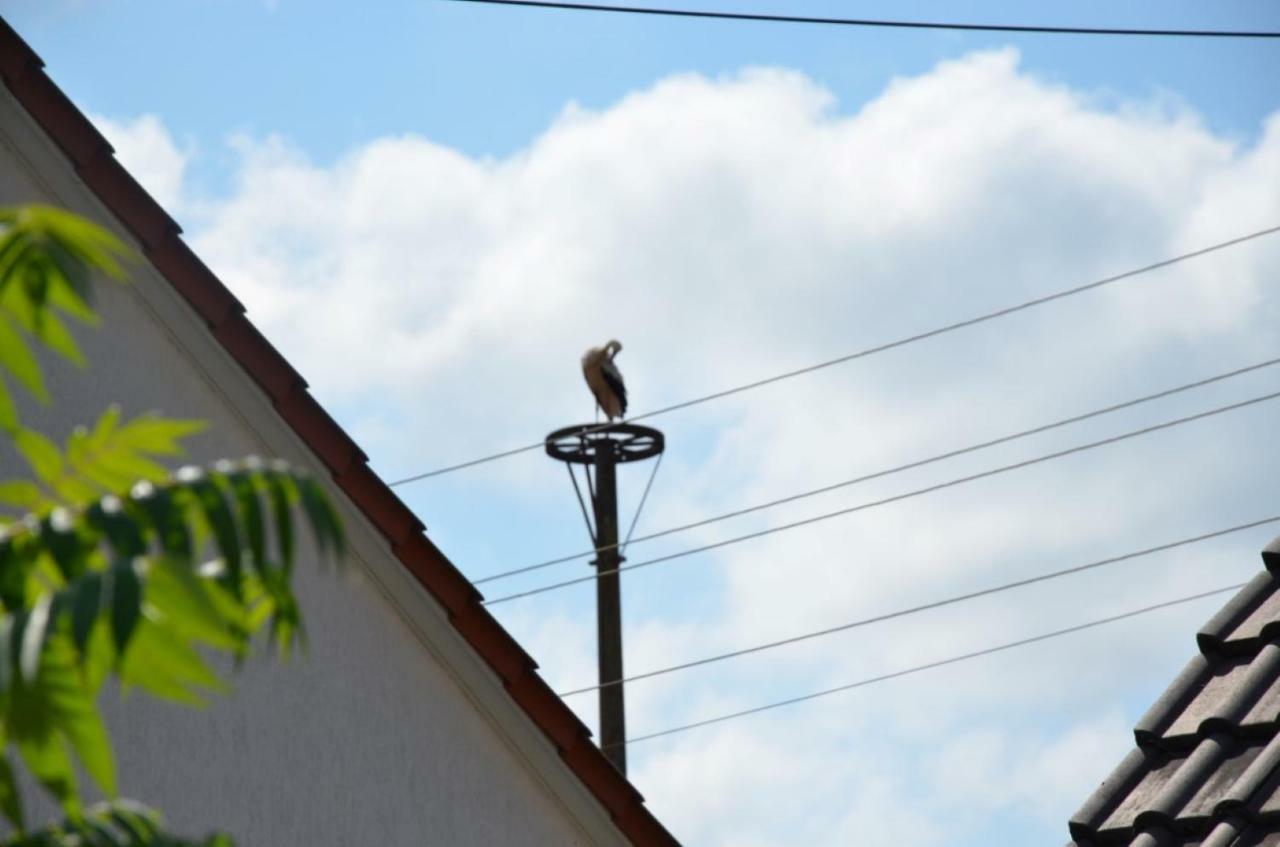 Storchennest An Der Spree In Radinkendorf Lejlighed Beeskow Eksteriør billede